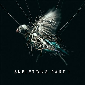 Skeletons: Part 1 - MISSIO