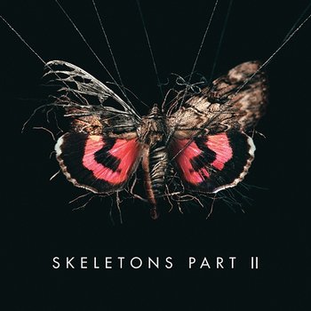 Skeletons: Part 2 - MISSIO