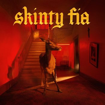 Skinty Fia - Fontaines D.C.