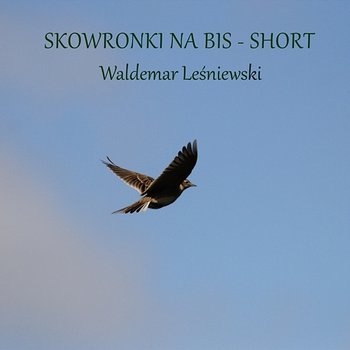 Skowronki na bis short - Waldemar Leśniewski