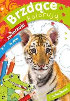 Skrzat, Malowanka A5, brzdące kolorują zwierzaki w zoo, naklejki, 158676 - Skrzat