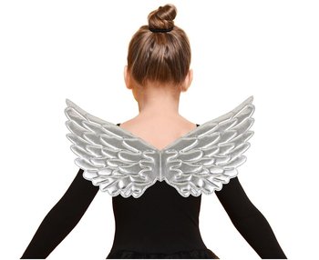 Skrzydła srebrne (45,3 x 21 cm) - GoDan