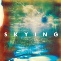 Skying The Horrors