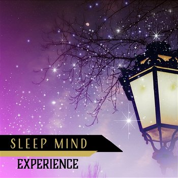 Sleep Mind Experience: Dreamy Journey, Deep Sleep Meditation, Soft Music to Help You Fall Asleep, New Age for Insomnia - Soothing Chill Out for Insomnia, Insomnia Cure Music Society