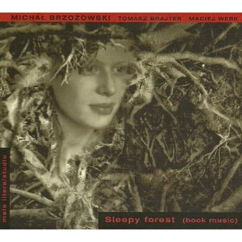 Sleepy Forest - Brzozowski Michał, Brajter Tomasz, Werk Maciej