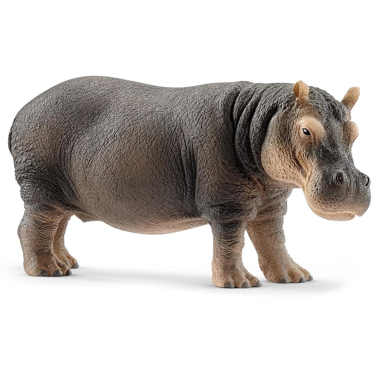 Фото - Конструктор Schleich SLH14814  Wild Life - Hipopotam, figurka dla dzieci 3+ 
