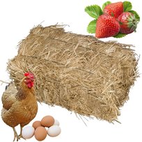 Słoma Ściółka Do Ogrodu 4Kg Pod Truskawki Warzywa Owoce Kostka Karton
