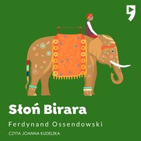 Wybrane audiobooki od 9,95 zł