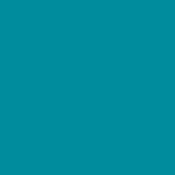 Sls Ht 116 – Medium Blue Green, 61 X 53Cm, Filtr Barwny Fomei, Arkusz - Fomei