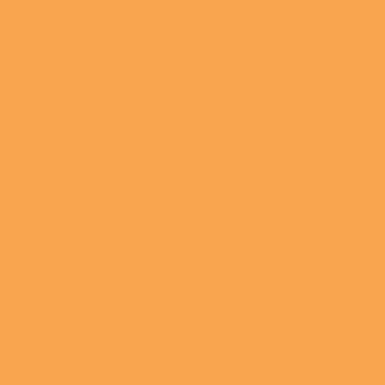 Sls Ht 205 - Half Ct Orange, 1,22 X 7,62M, Filtr Konwersyjny Fomei, Rola - Fomei