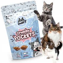 Smaczki dla kota PASZTECIKI CRUNCHY POCKET Z ŁOSOSIEM mięsne poduszeczki