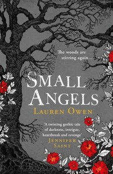 Small Angels: 'A twisting gothic tale of darkness, intrigue, heartbreak and revenge' Jennifer Saint - Owen Lauren