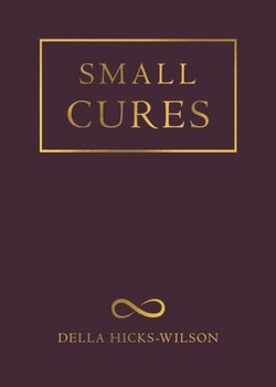 Small Cures - Della Hicks-Wilson