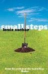Small Steps Sachar Louis