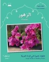 Small Wonders: Flowers - Gaafar Mahmoud