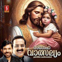 Sneha Vaalsalyam Br.NC George