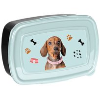Śniadaniówka lunchbox pudełko na śniadania Piesek Pies Jamnik Paso