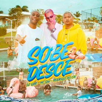 Sobe e Desce - No Pique BBB - DJ GBR, Mc Gw, Mc Rodrigo do CN feat. Confesser