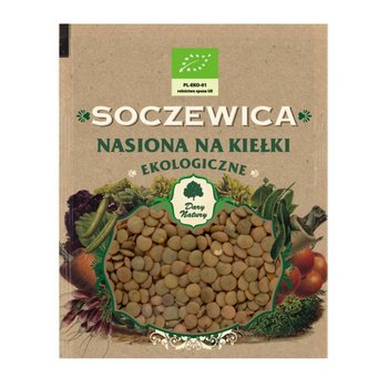 Soczewica Nasiona na Kiełki Bio 50 g - Dary Natury - Dary Natury