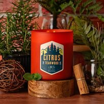 Sojowa świeca zapachowa męska w szkle Colonial Candle 425 g Cytrusy
