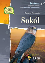 Sokół. Lektura z opracowaniem Boccaccio Giovanni