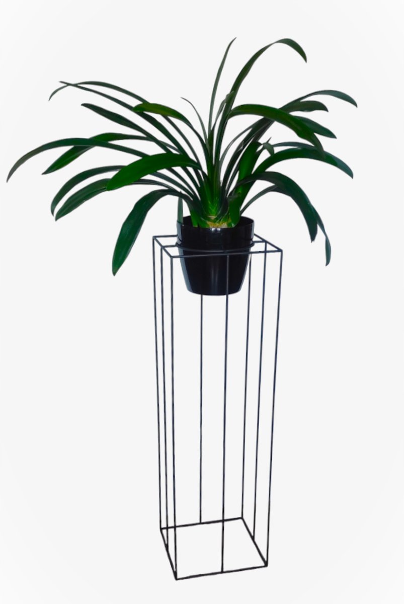 Solid 100 Cm - Inna marka | Sklep EMPIK.COM