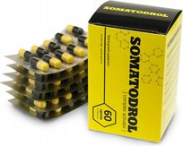 SOMATODROL - Guarana Kofeina GRTH Factor Beta-alanina AAKG TST Factor Cynk