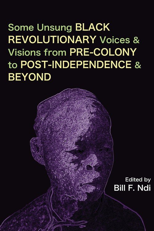 Some Unsung Black Revolutionary Voices and Visions from Pre-Colony to ...