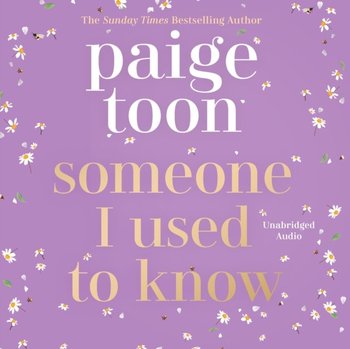 Someone I Used to Know - Toon Paige