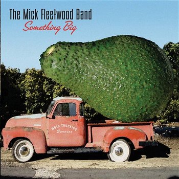 Something Big - The Mick Fleetwood Band