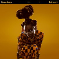 Sometimes I Might Be Introvert Little Simz