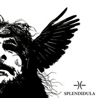 Somnus Splendidula