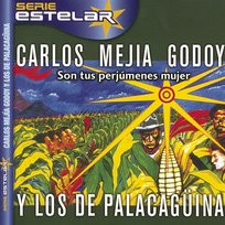 Son Tus Perjumenes Mujer Carlos Mejía Godoy Y Los Palacagüina