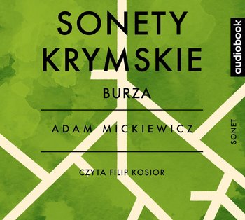 Sonety krymskie. Burza - Mickiewicz Adam