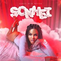 Sonhei Gabily, DJ 2F, Mousik