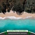 Soothing Hawaiian Bgm for a Relaxing Day - Seaside Siren Serenaders