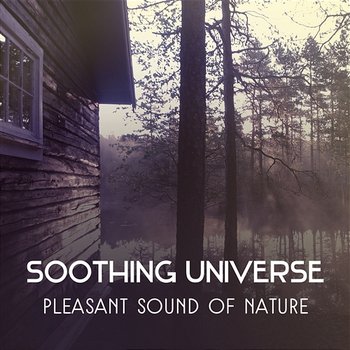 Soothing Universe – Pleasant Sound of Nature for Restore Harmony and Deep Relaxation Your Body, Personal Transformation, Awakened Mind - Nature Music Sanctuary