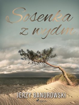 Sosenka z wydm - Bandrowski Jerzy