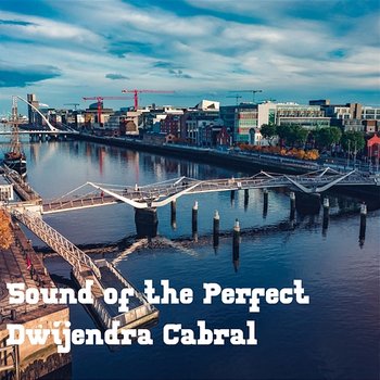 Sound of the Perfect - Dwijendra Cabral