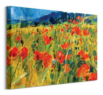 South Downs Poppies - obraz na płótnie - Art Group