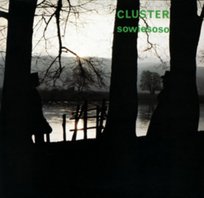 Sowiesoso Cluster