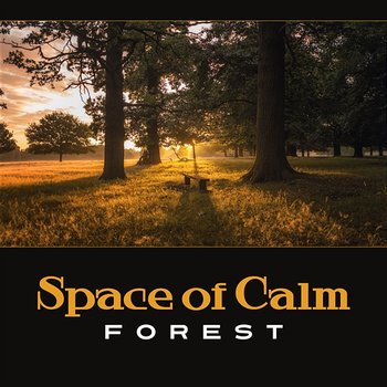 Space of Calm: Forest – Deep Relaxation, Contemplation Eternity, Letting Go of Tension and Stress, Equanimity - Nature Music Sanctuary
