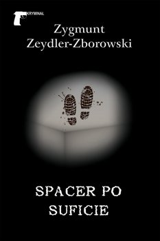 Spacer po suficie - Zeydler-Zborowski Zygmunt