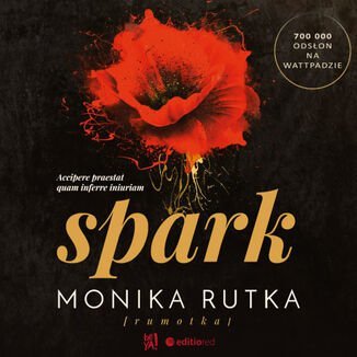 Spark - audiobook - Rutka Monika