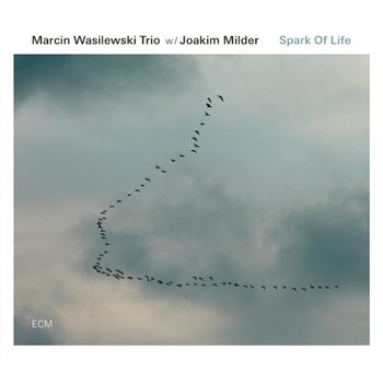 Spark Of Life - Wasilewski Marcin, Miśkiewicz Michał, Kurkiewicz Sławomir