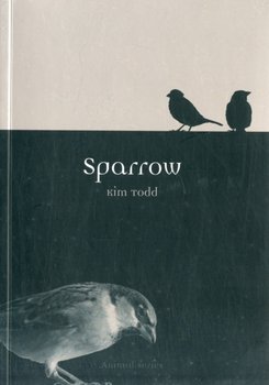 Sparrow - Kim Todd