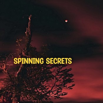 Spinning Secrets - Georgia Luck
