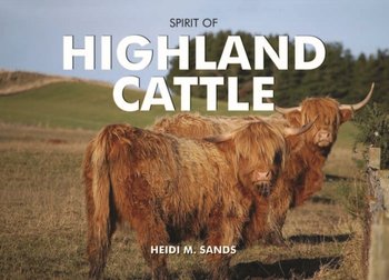 Spirit of Highland Cattle - Heidi M. Sands