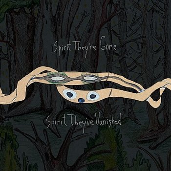 Spirit They're Gone, Spirit They've Vanished (Remastered), płyta winylowa - Animal Collective