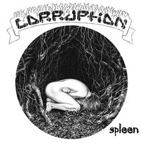 Spleen Corruption